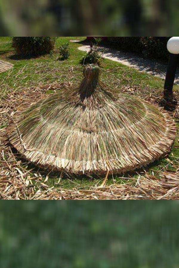 Demir Aksamlı Galvaniz Tel Örgülü Otlu Şemsiye Guppeli