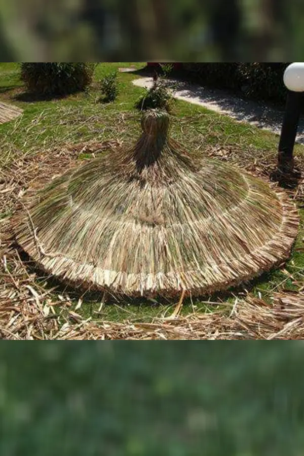 Demir Aksamlı Galvaniz Tel Örgülü Otlu Şemsiye Guppeli