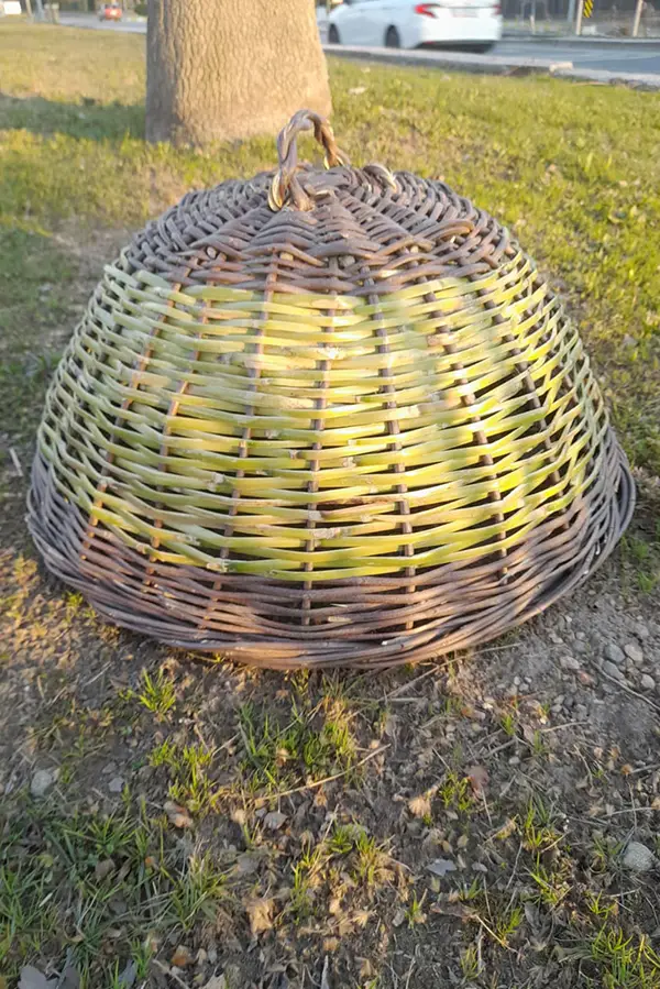 Yarım Karpuz Avize Hayıt ve Kargı Hasır Örgü