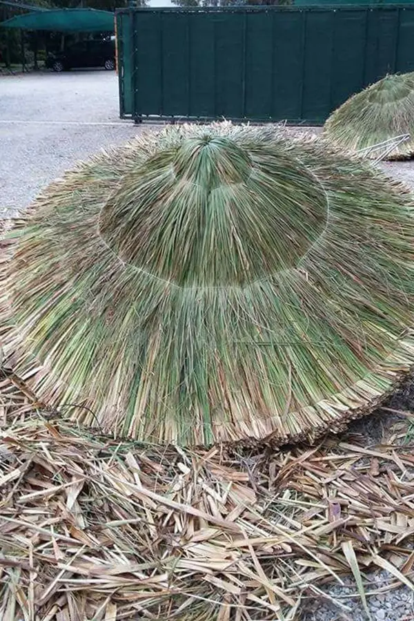 Demir Aksamlı Galvaniz Tel Örgülü Otlu Şemsiye Guppesiz