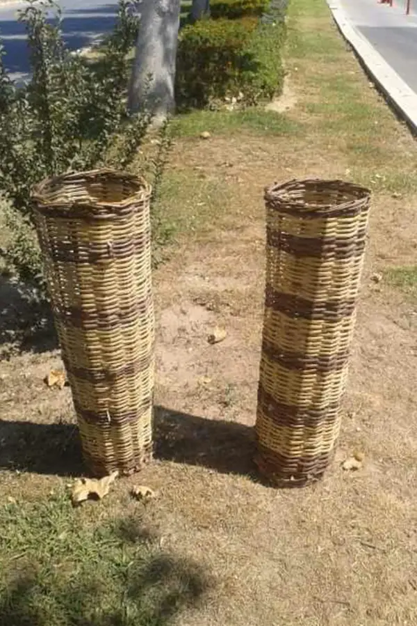 Kargılı ve Hayıt Ürün Hasır Arıkovanı