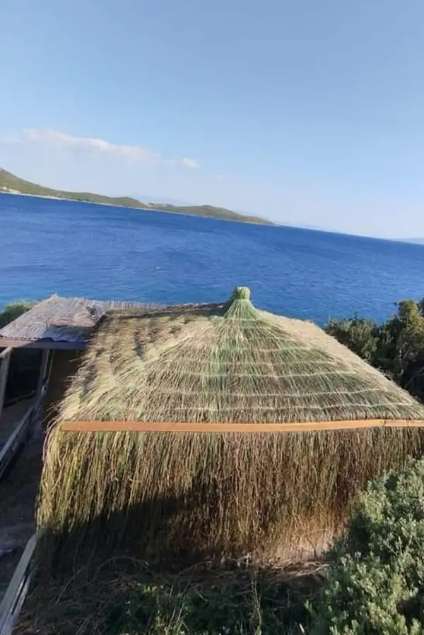 Otlu ve Saçaklı Ögü Kamelya